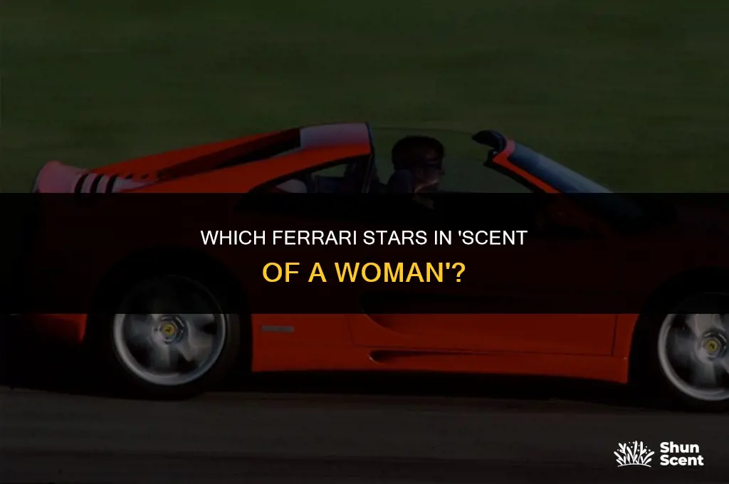 what ferrari is in scent of a woman