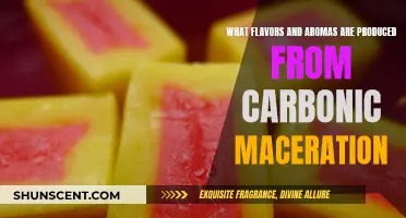 Unveiling Carbonic Maceration's Flavor and Aroma Secrets