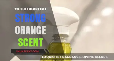 Discover the Best Orange-Scented Floor Cleanser for a Fresh Home