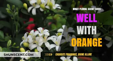 Blossoming Harmony: Floral Notes That Perfectly Complement Orange