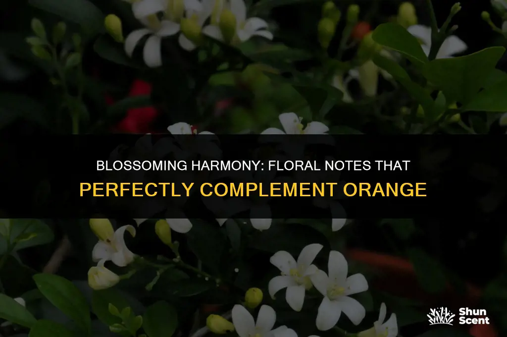 what floral scent goes well with orange