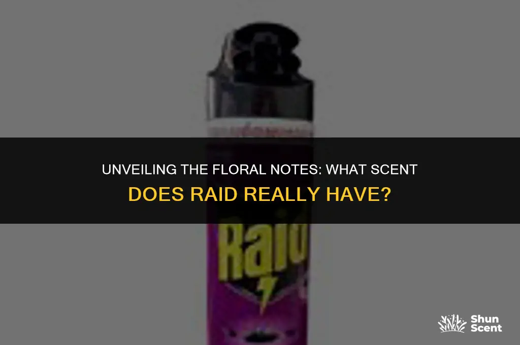 what floral scent is raid