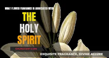 The Holy Spirit's Fragrant Symbol: Exploring the Lily's Legacy