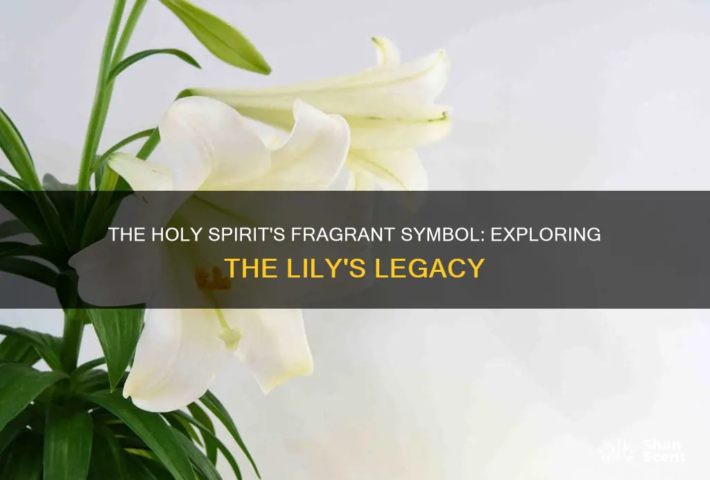 what flower fragrance is associated with the holy spirit