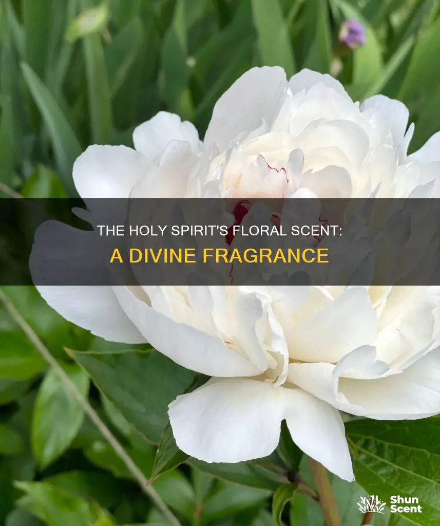 what flower fragrance is associated with the holy spirit