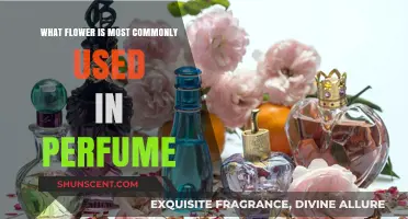 The Scent of Elegance: Most Popular Flower in Perfumes