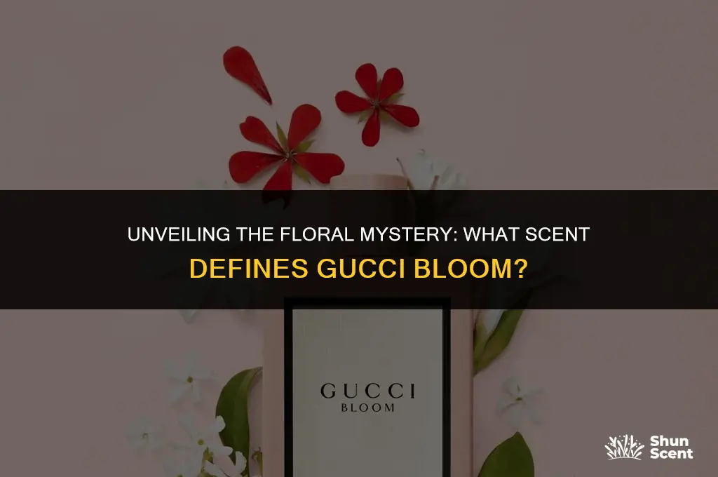 what flower is the scent of gucci bloom