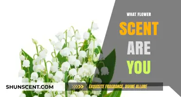 Discover Your Floral Essence: What Flower Scent Are You?