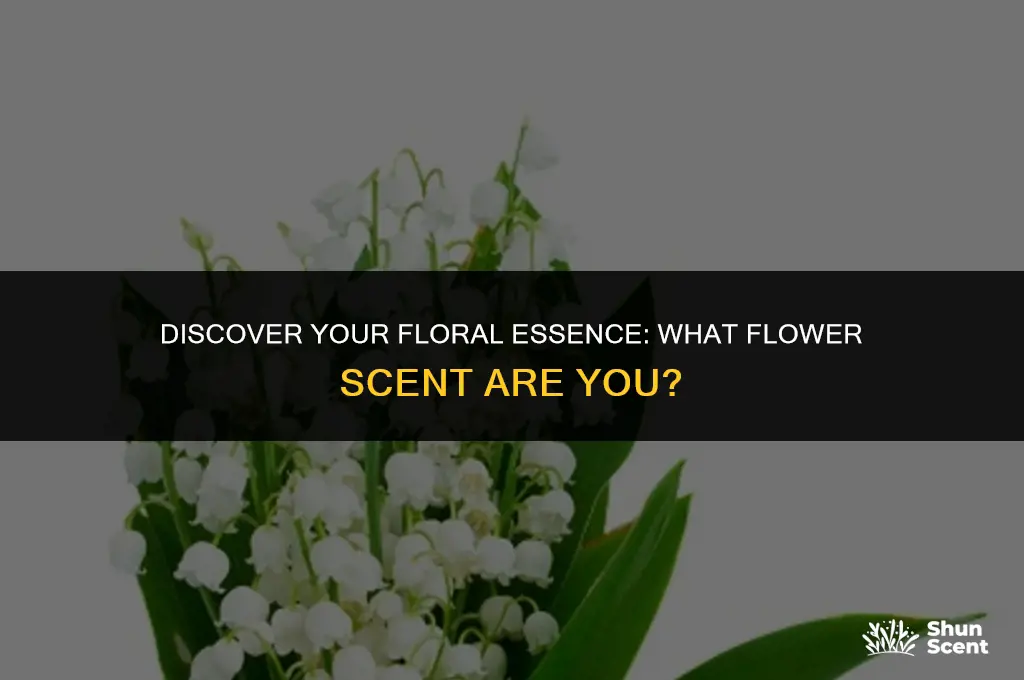 what flower scent are you