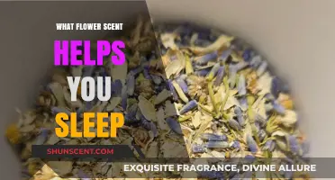 Sweet Dreams: The Floral Fragrances That Can Enhance Your Sleep Quality