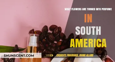 South America's Fragrant Treasures: Flowers Transformed into Exquisite Perfumes