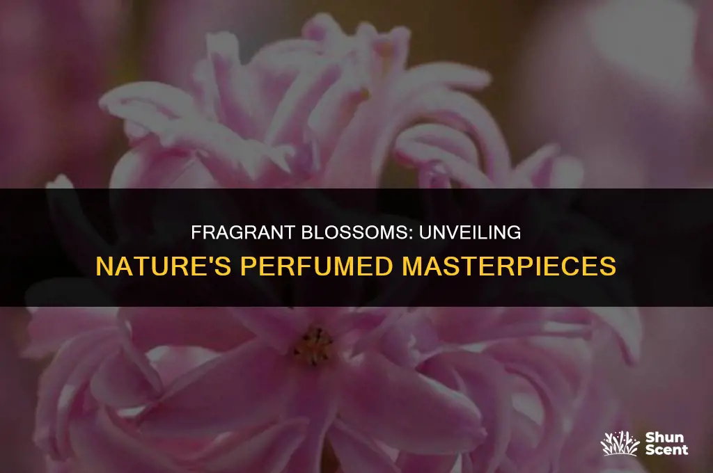 what flowers have a scent