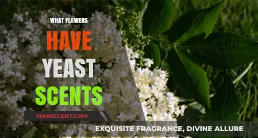 Floral Yeast Notes: Unveiling Nature's Perfumed Secrets