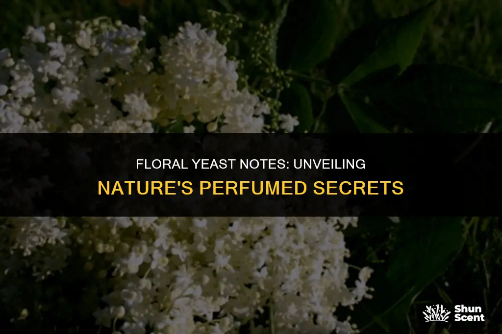 what flowers have yeast scents