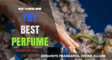 The Best Flowers for Perfume: Scented Delights