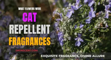 Uncover the Flowers That Deter Cats: A Fragrant Defense