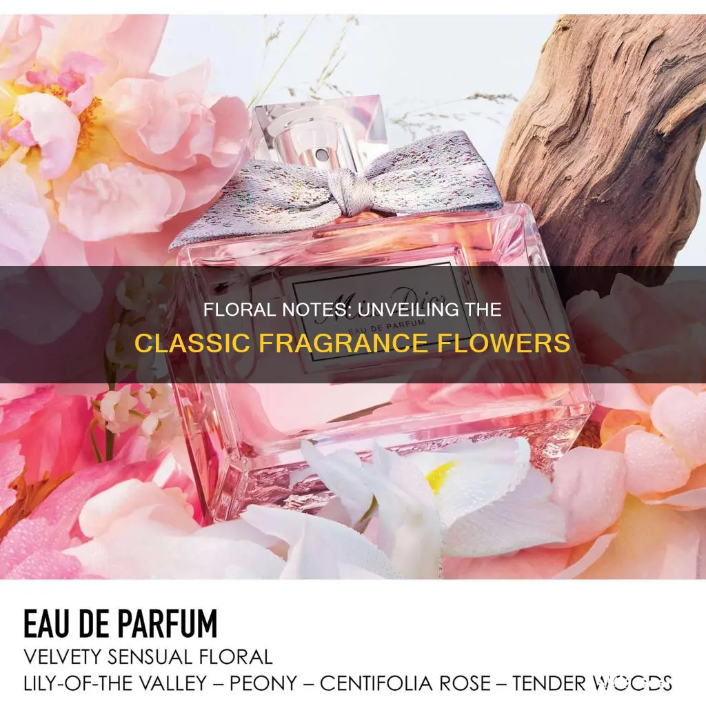 what flowers were used in classic fragrances