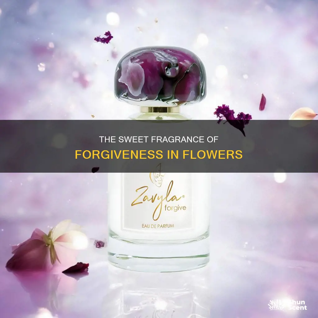 what forgivness is the fragrance of flowers