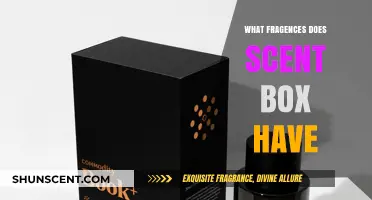 Exploring the Diverse Fragrances of Scent Box: A Comprehensive Guide