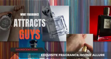 Uncover the Top Scents to Captivate Male Attention