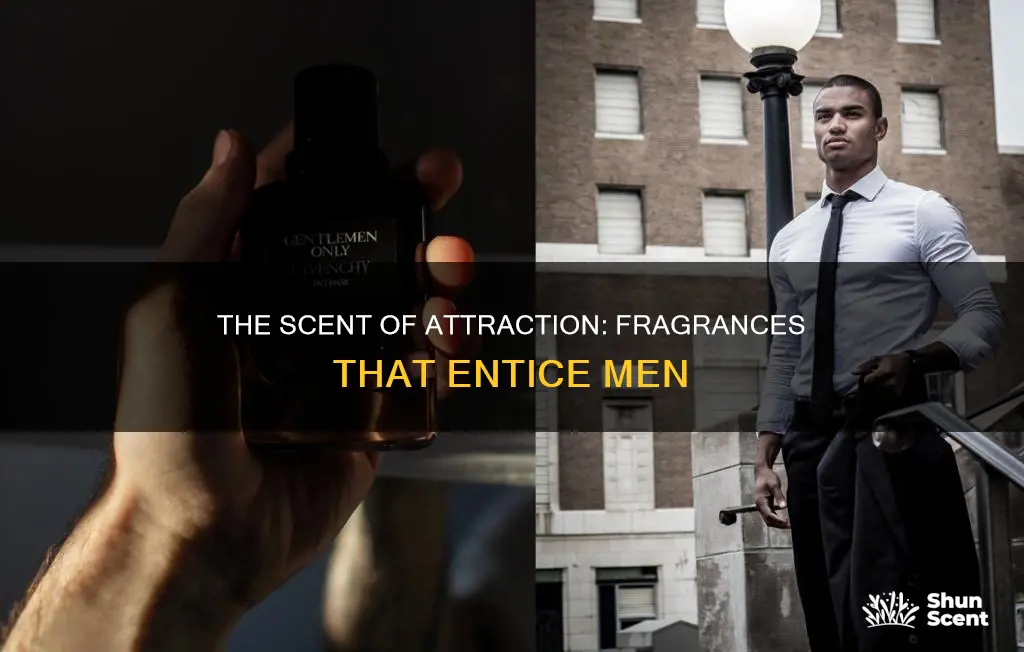 what fragrance attracts guys