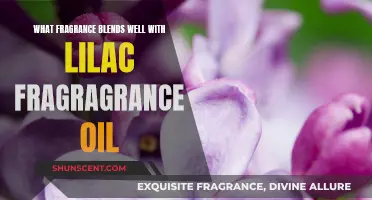 Lilac's Best Companions: Exploring Complementary Fragrance Blends