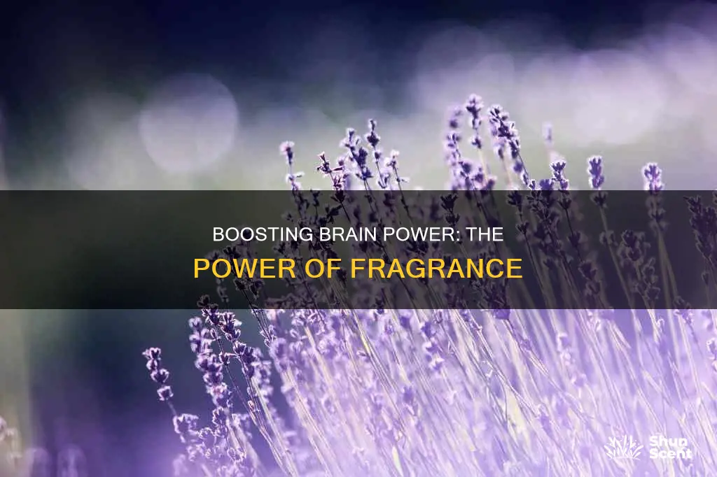 what fragrance boosts cognitive function