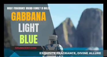 Dolce & Gabbana Light Blue: A Fresh Aquatic Scent