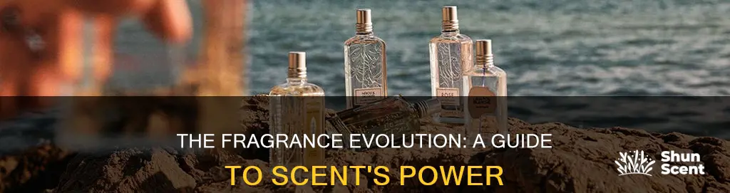 what fragrance can