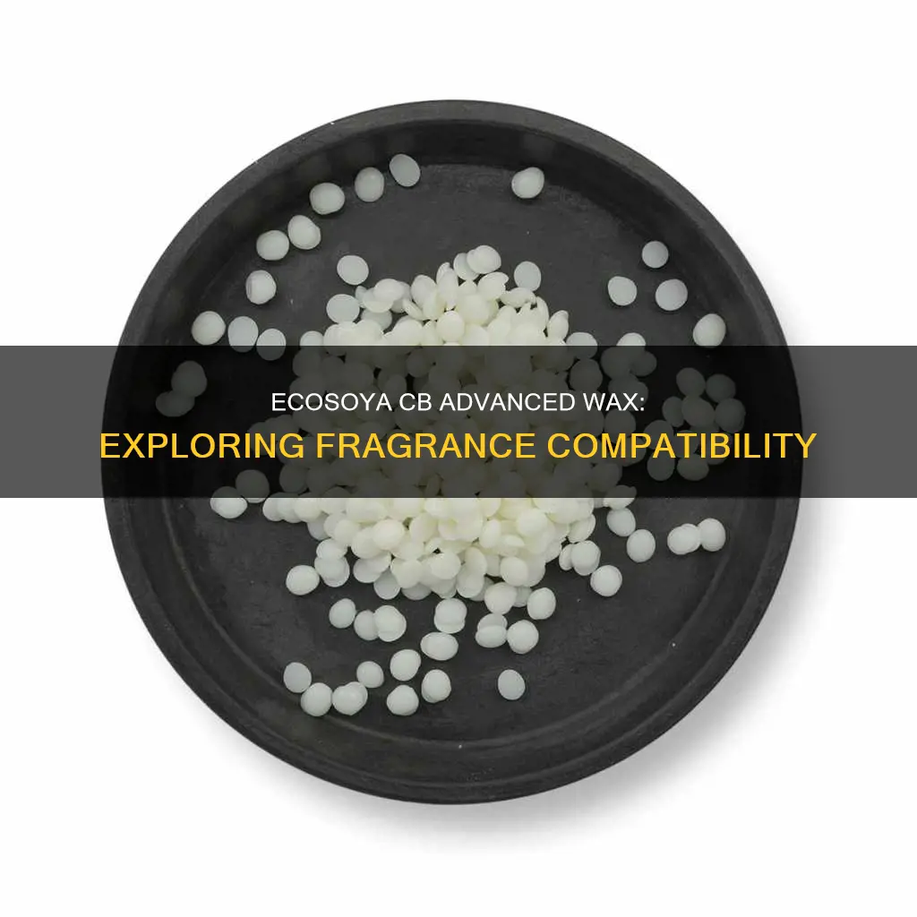 what fragrance compatible with ecosoya cb advanced wax