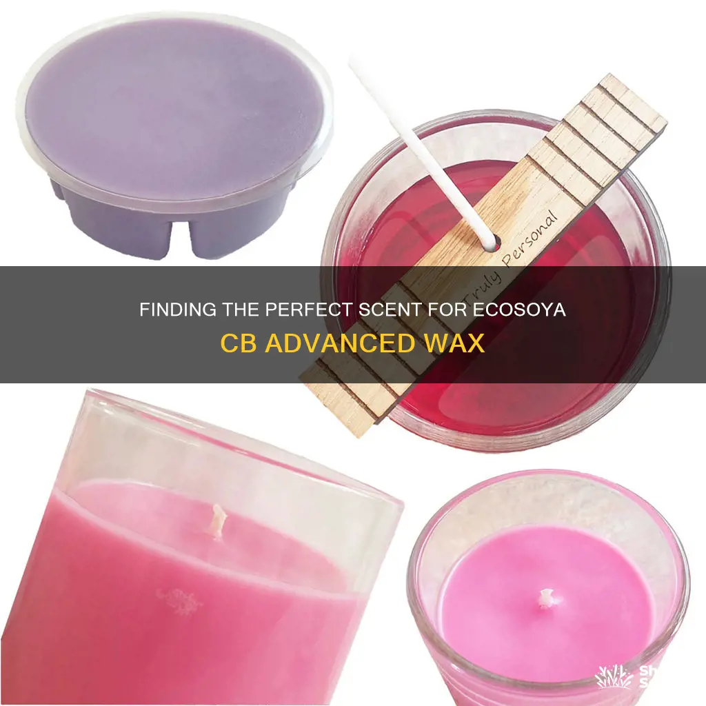 what fragrance compatible with ecosoya cb advanced wax