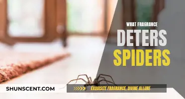 Natural Spider Repellents: Fragrant Solutions to Keep Spiders Away