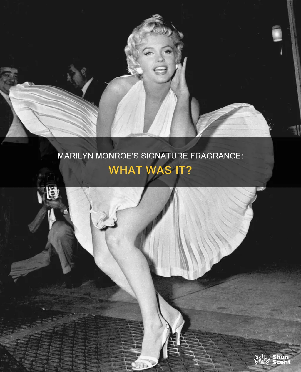 what fragrance did marilyn monroe wear
