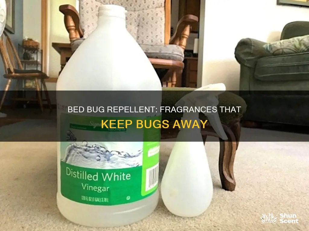 what fragrance do bed bugs hate