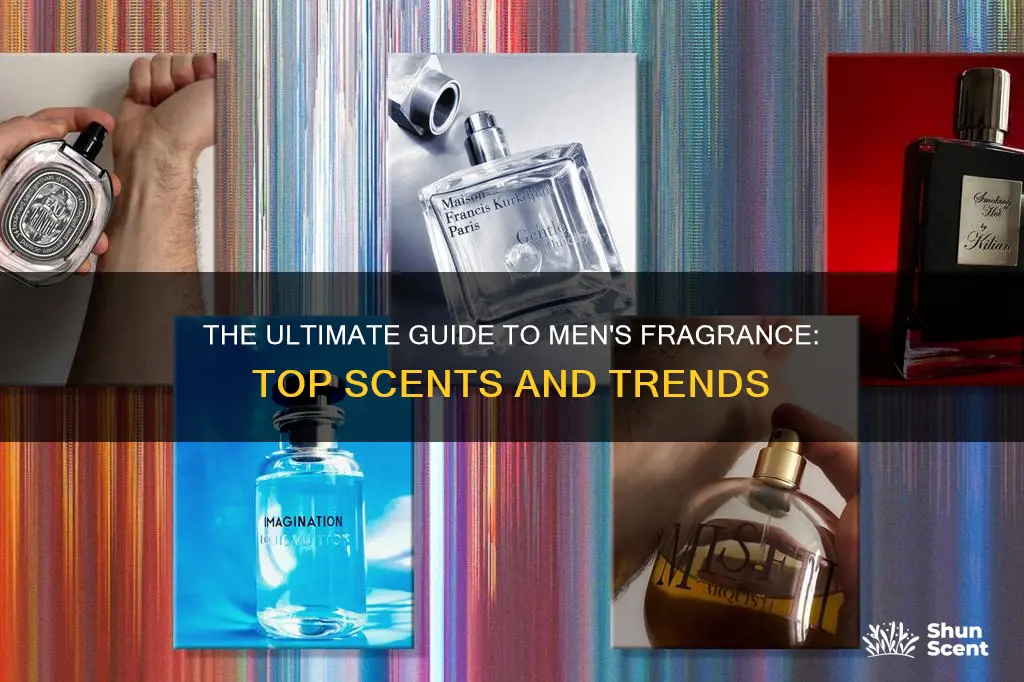 what fragrance do men wear