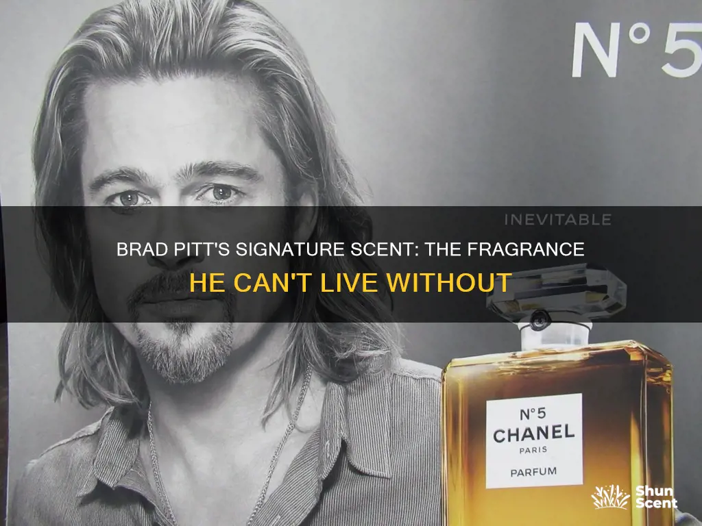 what fragrance does brad pitt wear