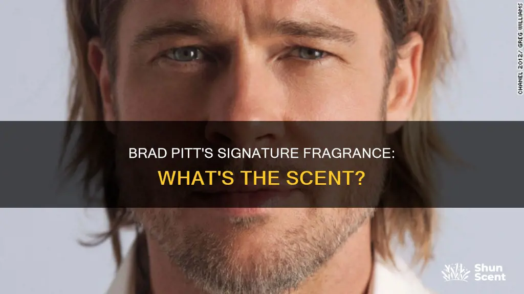 what fragrance does brad pitt wear