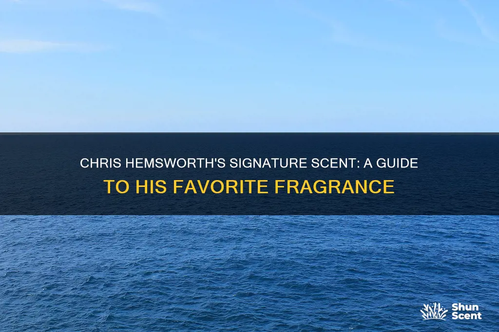 what fragrance does chris hemsworth wear