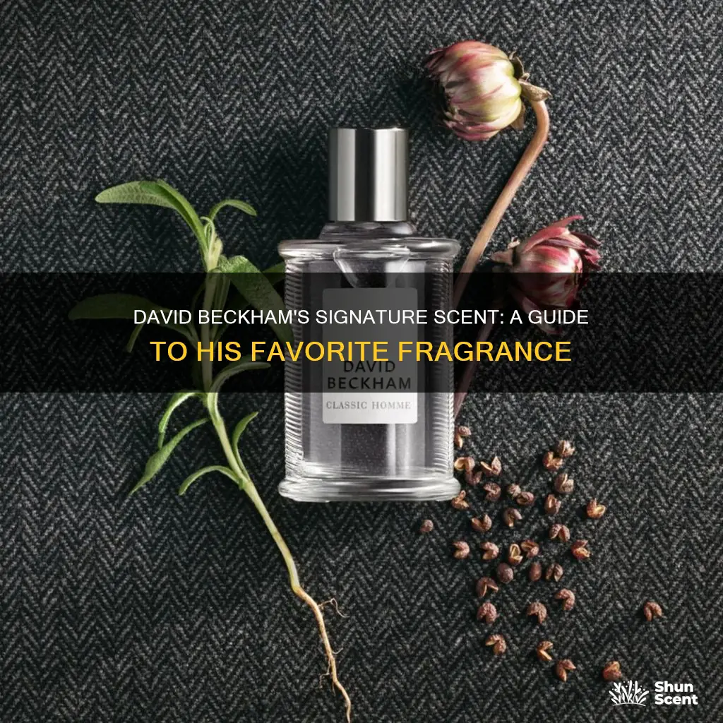 what fragrance does david beckham wear