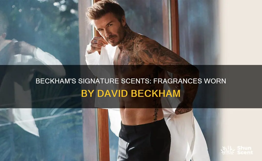 what fragrance does david beckham wear