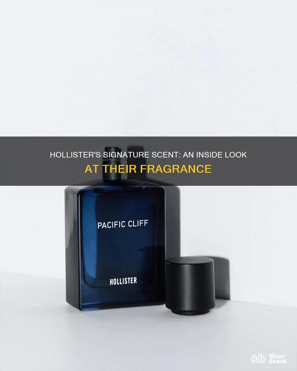 what fragrance does hollister use in the store