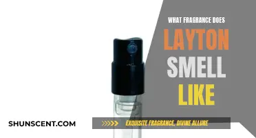 Exploring Layton's Fragrance: A Familiar Scent