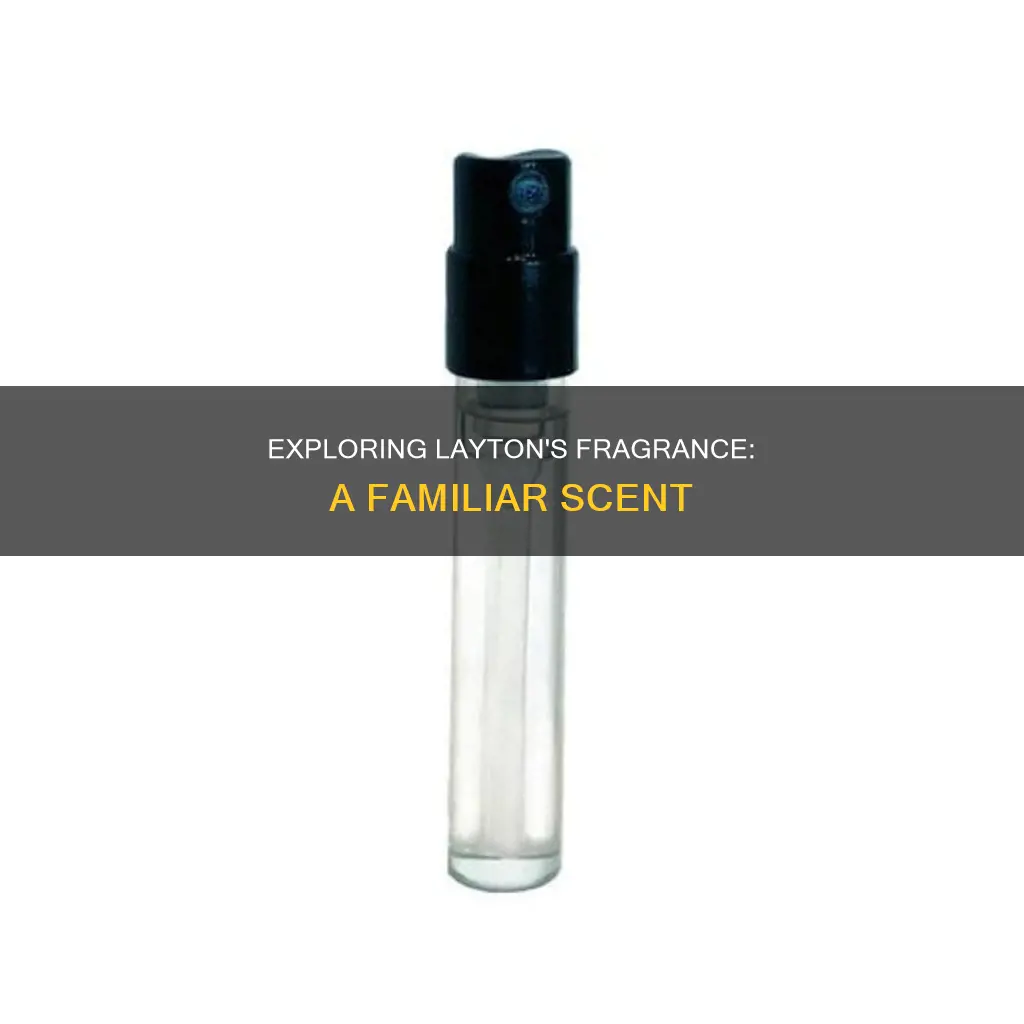 what fragrance does layton smell like