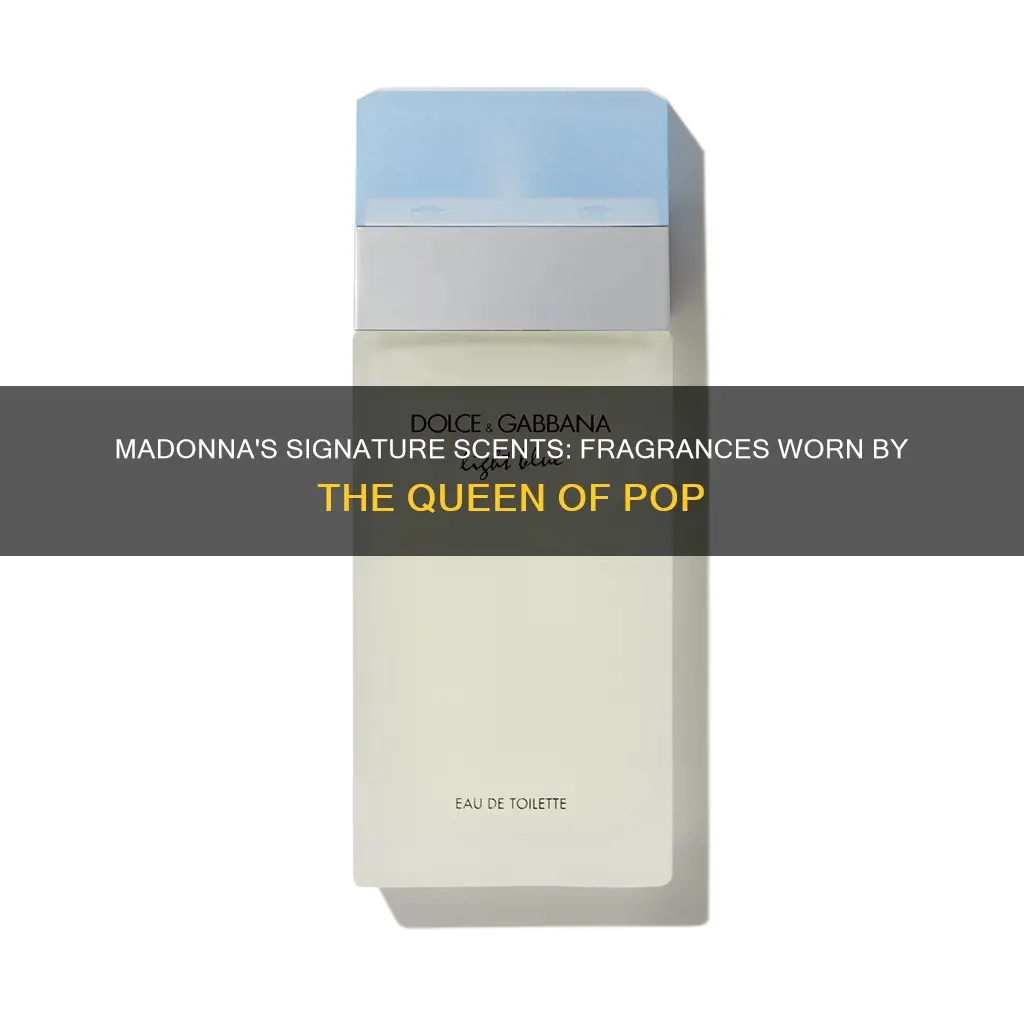 what fragrance does madonna wear