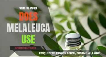 Melaleuca's Signature Scent: Unveiling the Fragrant Mystery