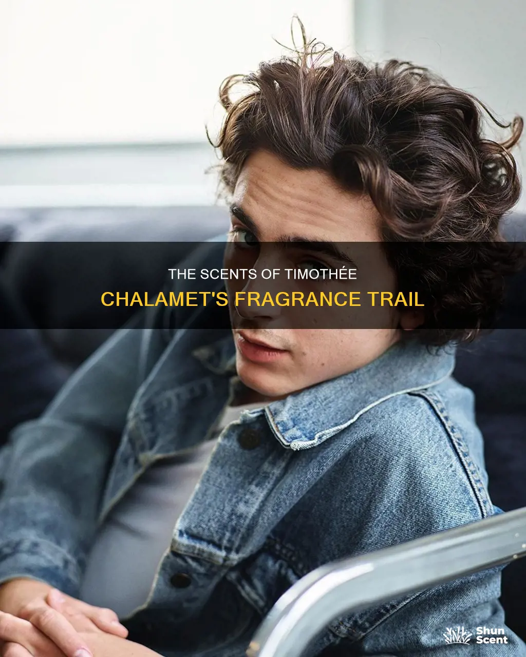 what fragrance does timothee chalamet use