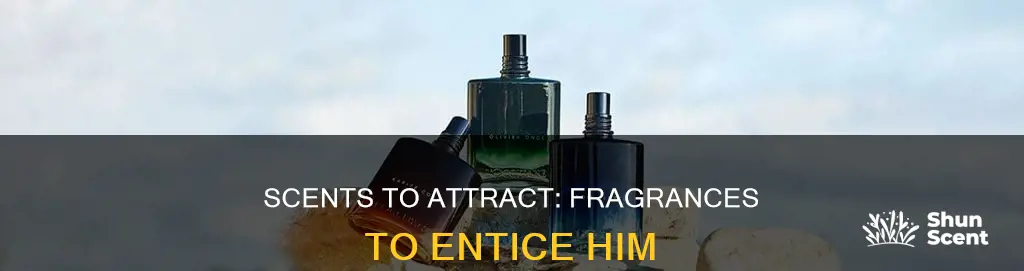what fragrance extract a man