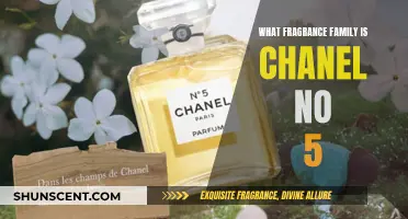 Unveiling Chanel No 5's Timeless Fragrance Family