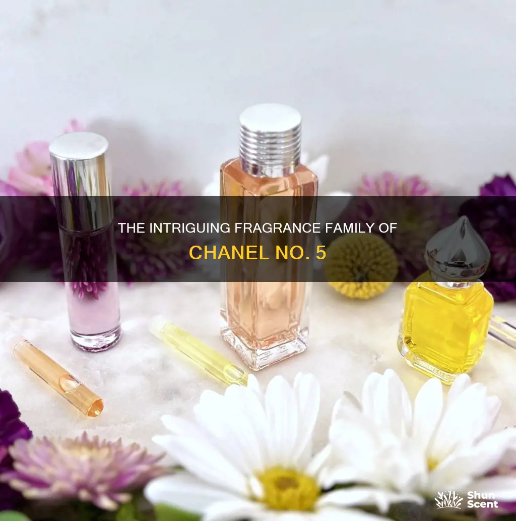 what fragrance family is chanel no 5