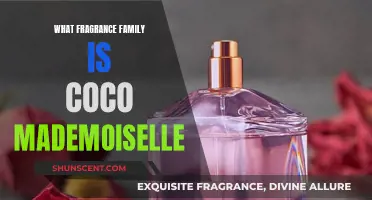 Coco Mademoiselle: A Fresh, Floral, and Woody Journey